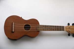 Ukulele Course