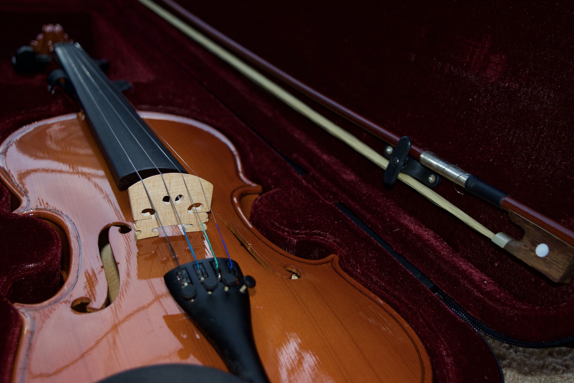 Violin